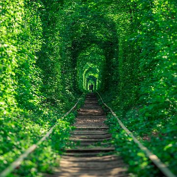 Altes Gleis mit grünen Bäumen